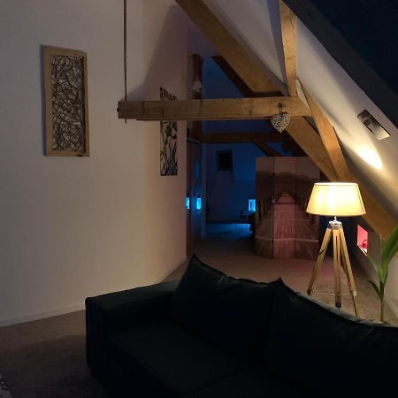 Appartamento Nid De Cigogne Illhaeusern Esterno foto