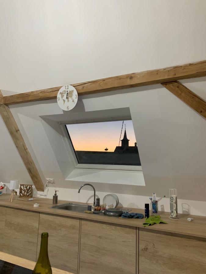 Appartamento Nid De Cigogne Illhaeusern Esterno foto