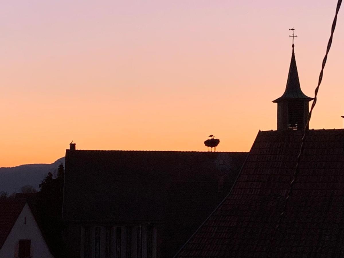 Appartamento Nid De Cigogne Illhaeusern Esterno foto