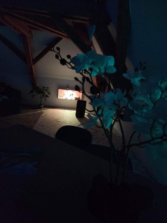 Appartamento Nid De Cigogne Illhaeusern Esterno foto
