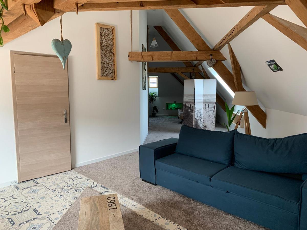 Appartamento Nid De Cigogne Illhaeusern Esterno foto